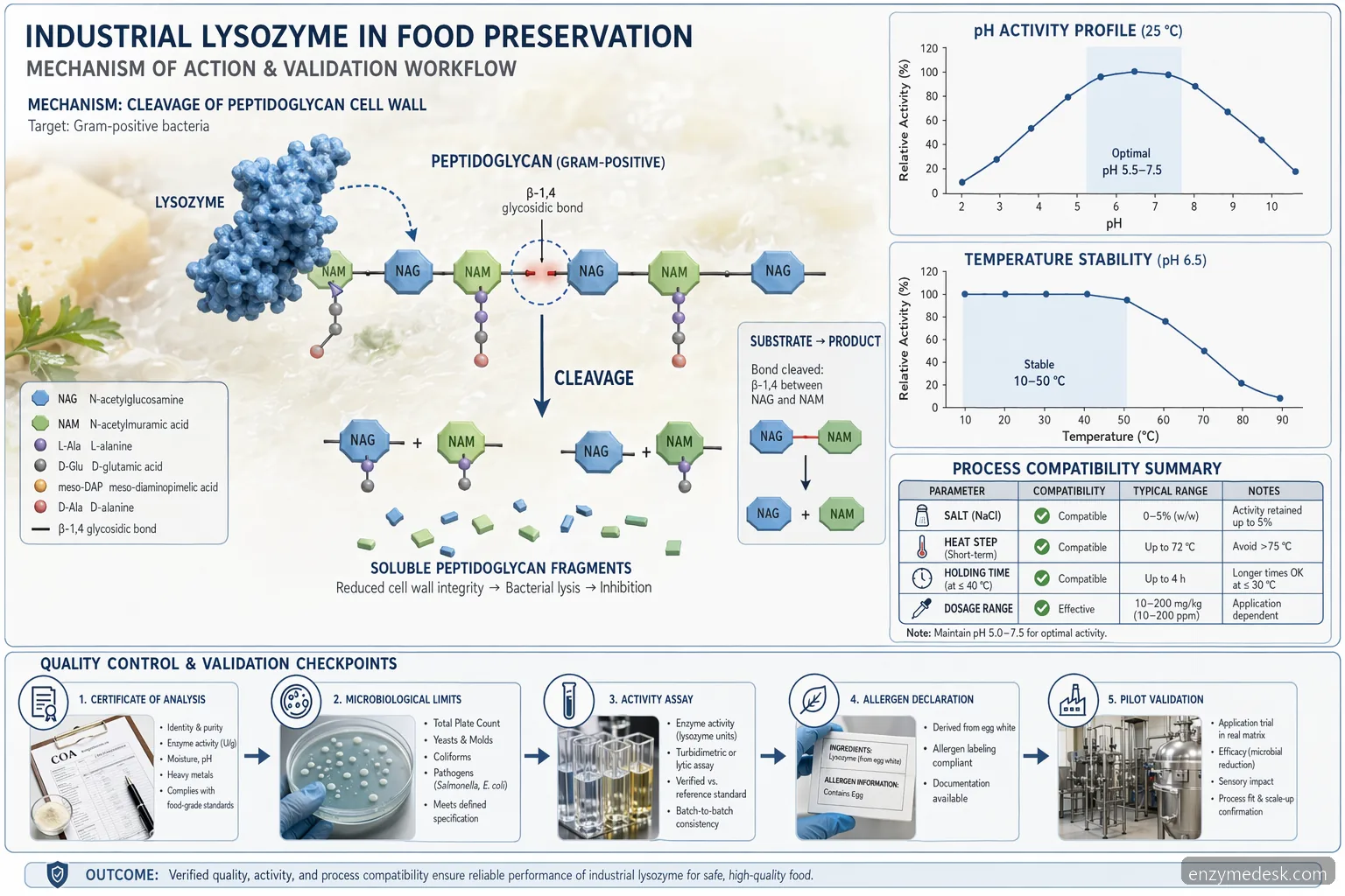 lysozyme mouthwash uk food preservation diagram showing enzyme cleavage of peptidoglycan with pH and temperature limits
